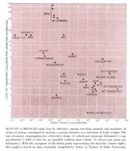 Bicycle Technology by S.S.Wilson / Scientific American, Vol.228, no.3, 1973