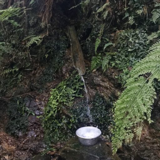 umetanigoe-spring-water