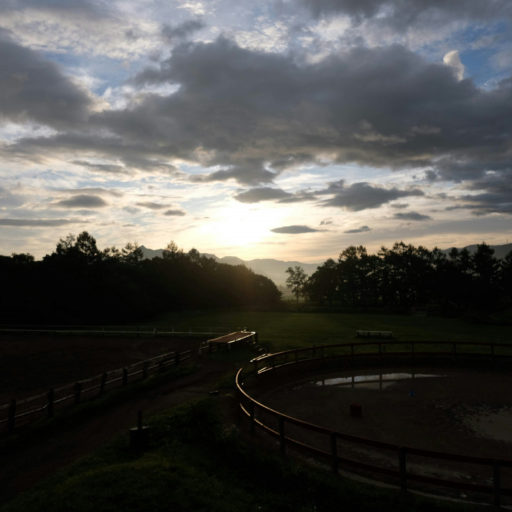 牧場の夜明けの写真