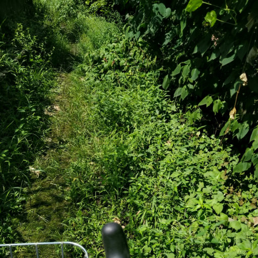 草に覆われた、だが手の行き届いた水路と小路の写真