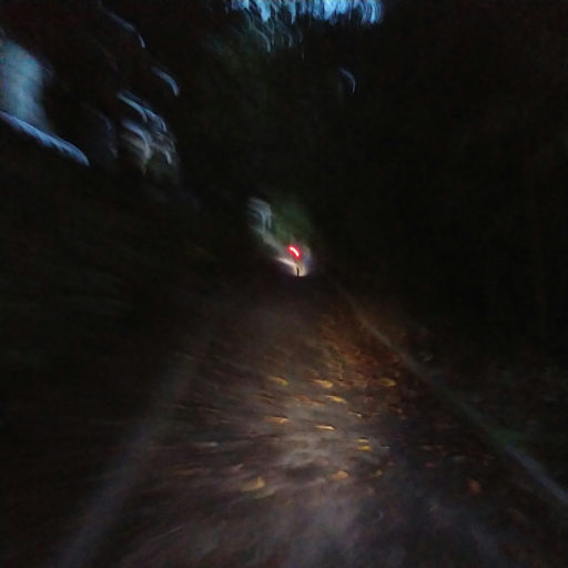 暗い緑道の奥に赤いテールライトの光が尾を引いている写真