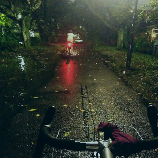 雨上がりの夜の緑道を自転車で走っている様子
