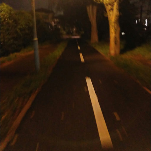 白い破線のセンターラインが引かれた夜の緑道の写真