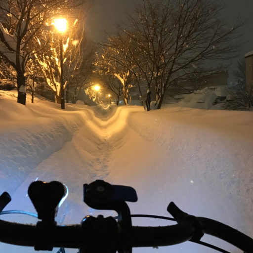 新雪時の歩道