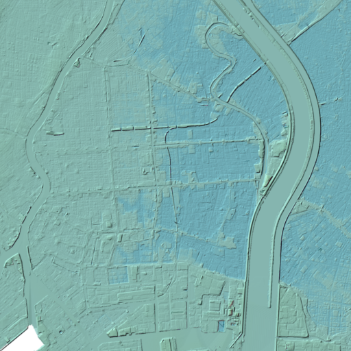 
隅田川（左）と荒川（右）に挟まれた江東デルタ地帯の陰影起伏図。川や運河沿いの土地が盛り上がっている（地理院地図Vector（国土地理院）を加工して作成）
